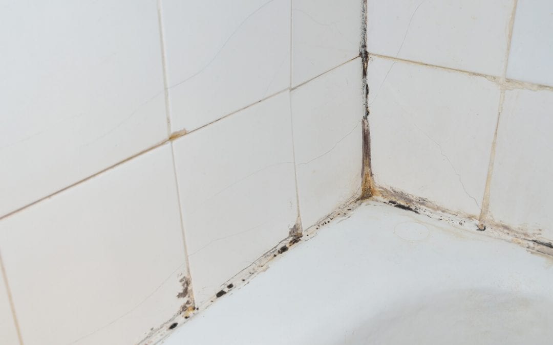 4 Ways to Spot Mold in the Home
